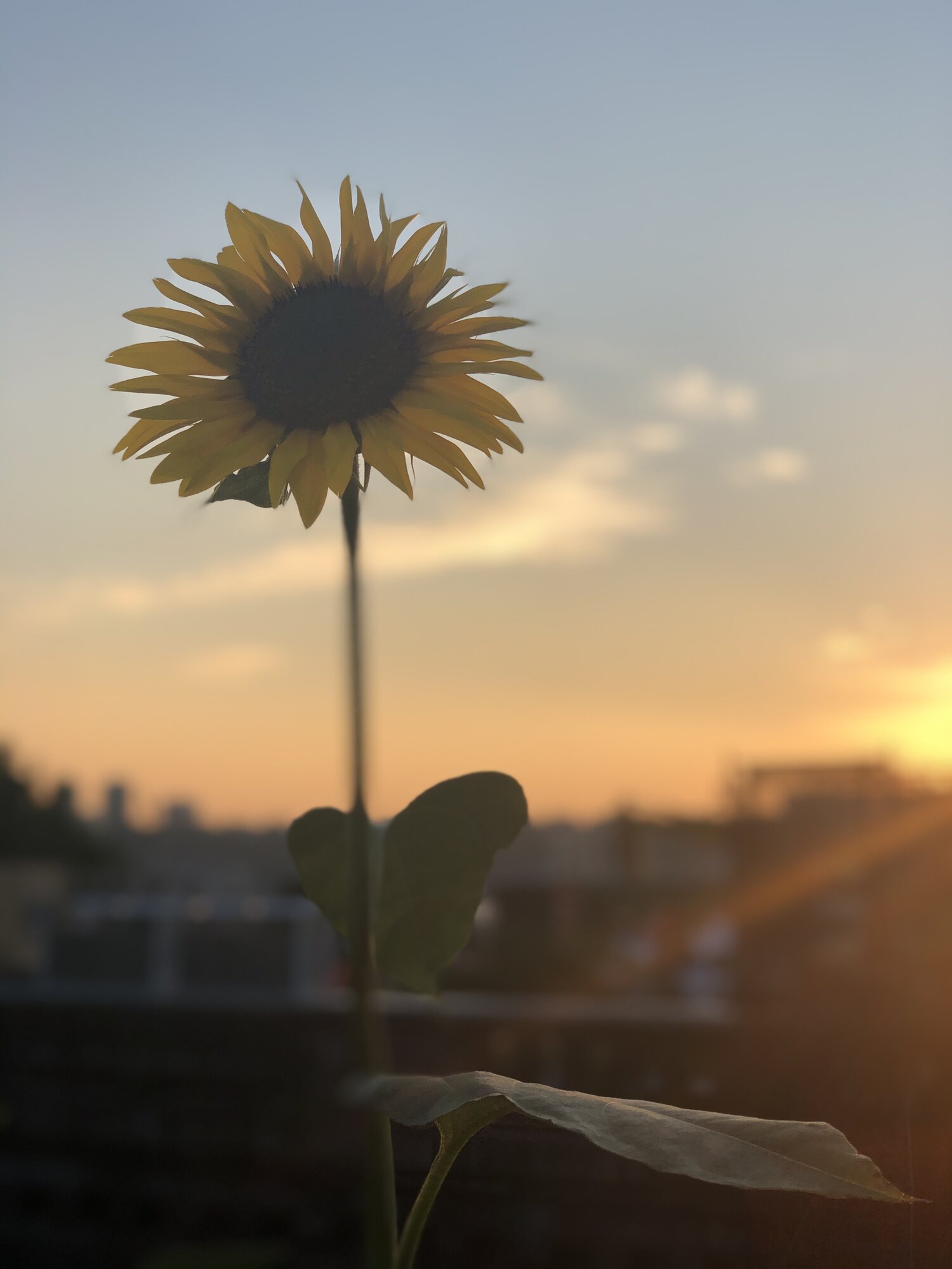 You are currently viewing The Power of Renewal