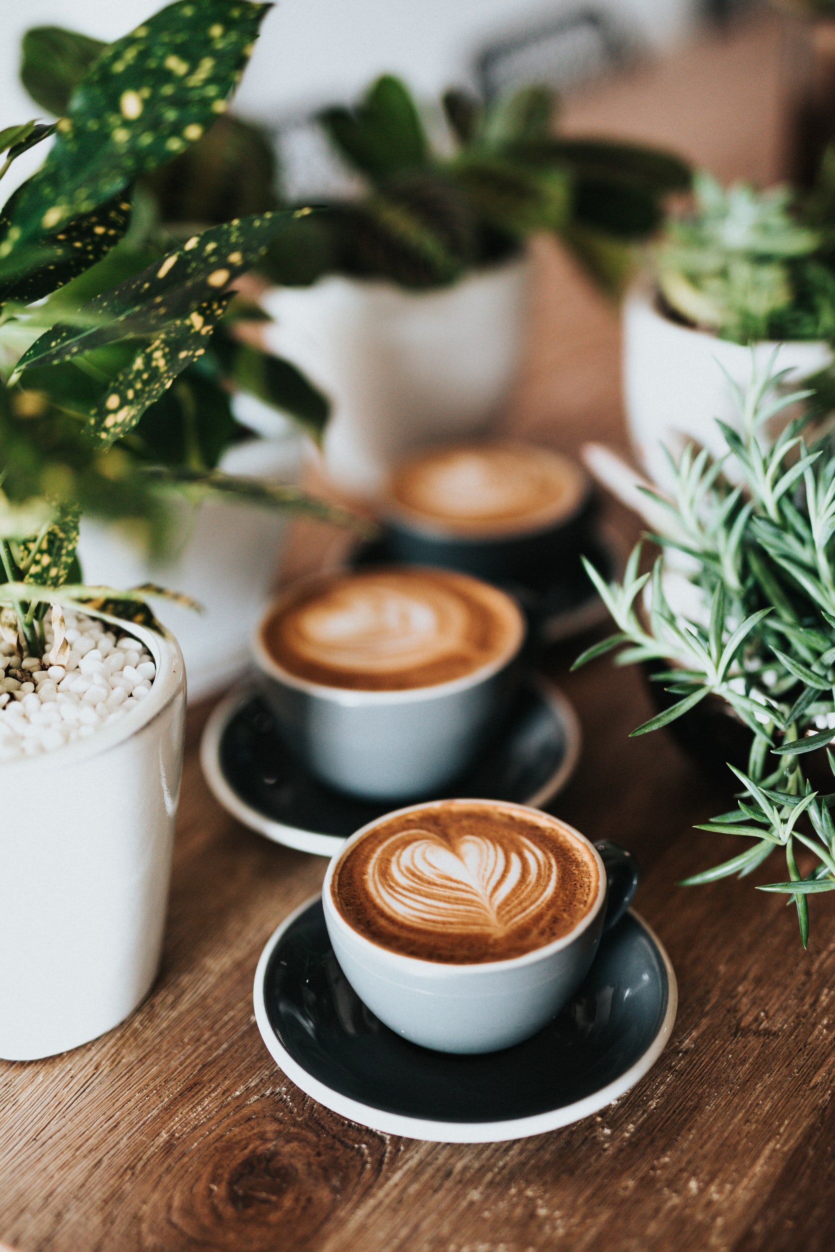 unsplash-image-zUNs99PGDg0.jpg