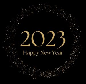 Read more about the article How To Bring In The New Year With Purpose