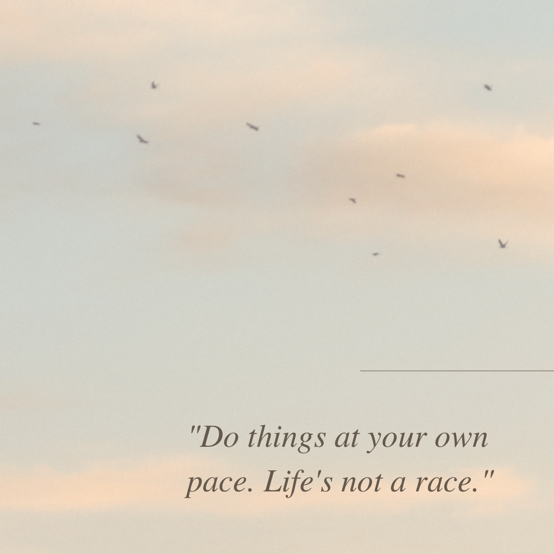 Read more about the article Starting A Wellness Journey